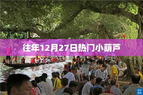 往年12月27日热门小葫芦盘点