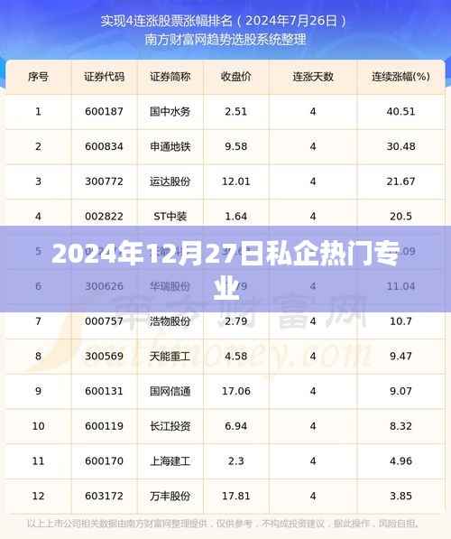 私企热门专业趋势展望(2024年12月)