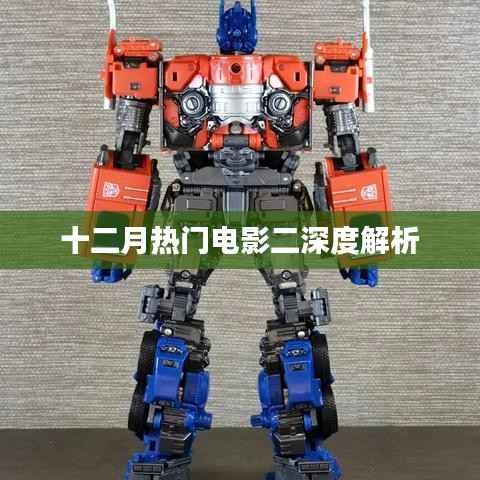 十二月热门电影深度解读