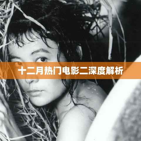 十二月热门电影深度解读