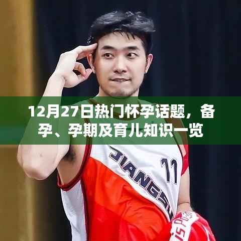 12月27日热门怀孕话题全解析，备孕、孕期与育儿知识总览