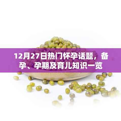 12月27日热门怀孕话题全解析,备孕、孕期与育儿知识总览