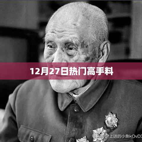 高手料揭秘,最新热门资讯,12月27日速递