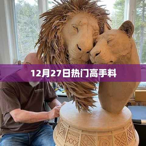 高手料揭秘,最新热门资讯,12月27日速递