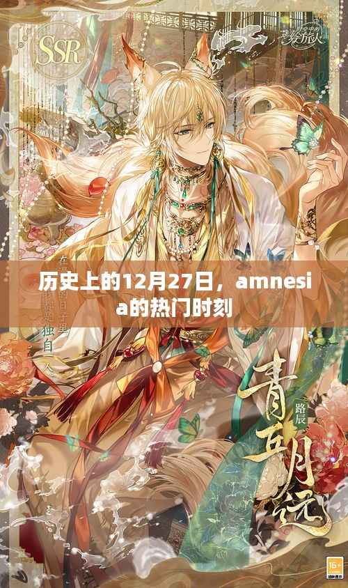 历史上的Amnesia时刻,揭秘十二月二十七日的精彩瞬间