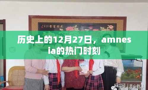 历史上的Amnesia时刻,揭秘十二月二十七日的精彩瞬间