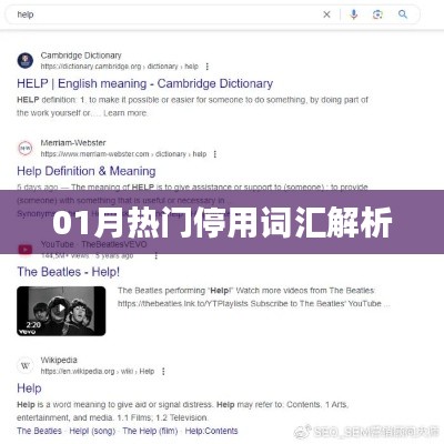 热门停用词汇解析，深度解读一月份词汇背后的故事