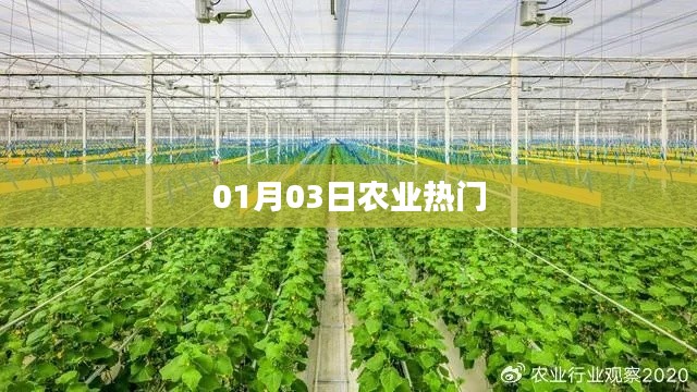 农业热点资讯,最新动态一网打尽(日期,01月03日)