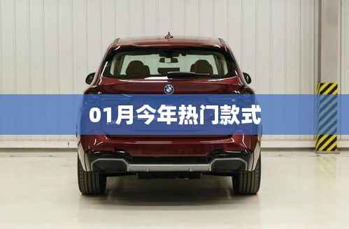 今年一月流行款式盘点