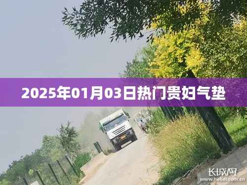 『2025年热门贵妇气垫,时尚美妆新选择』