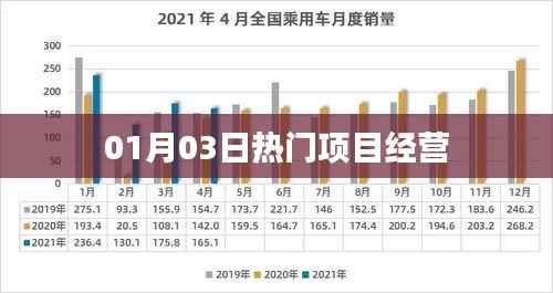 热门项目经营,最新动态与深度解析(01月03日)