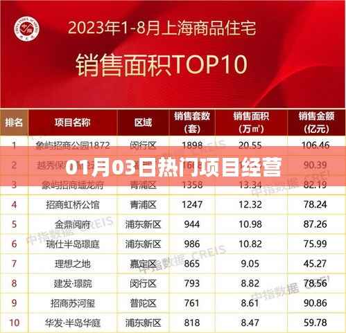 热门项目经营,最新动态与深度解析(01月03日)