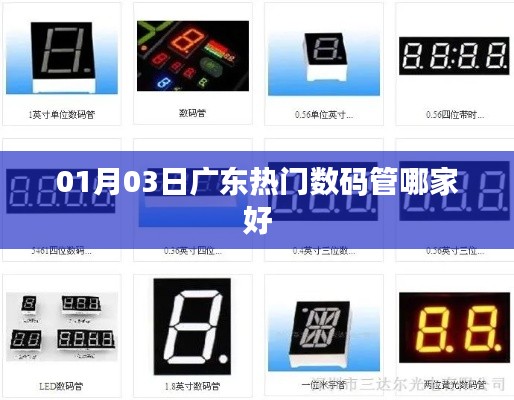 天生丽质 第5页