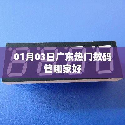 广东数码管品牌推荐,优质厂商一览(日期,01月03日)