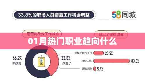 职场风向标,最新热门职业趋势分析