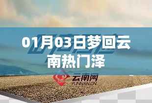 紫色蛙声 第5页