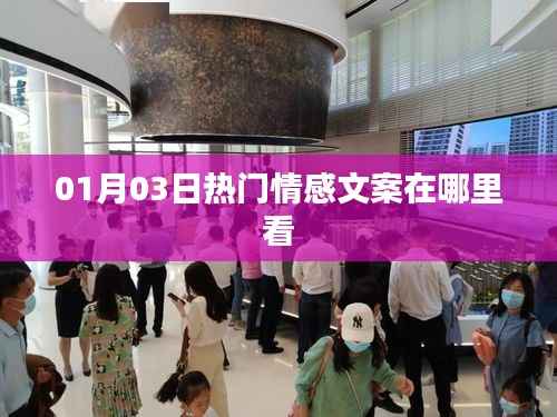 精选情感文案,每日热门回顾