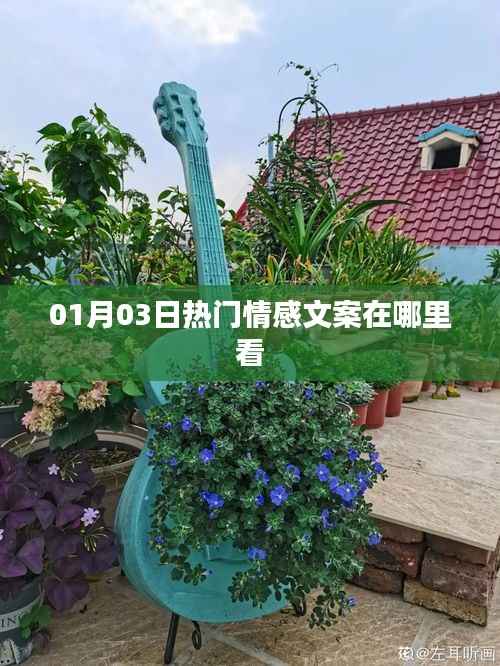 精选情感文案,每日热门回顾