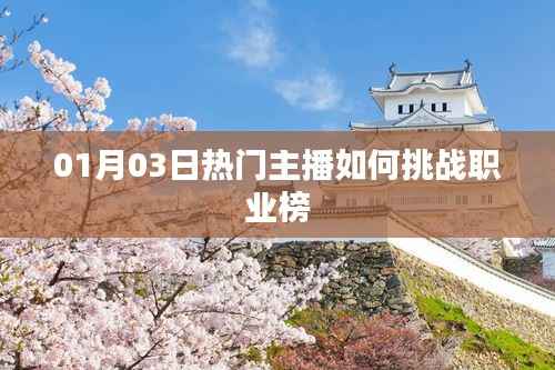 热门主播挑战职业榜,揭秘成功秘诀