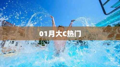 大C热门风潮,一月份瞩目之选