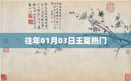 王冕元旦后热门事件回顾