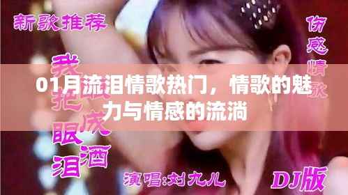 情歌魅力与情感流淌,一月流泪情歌热门盘点