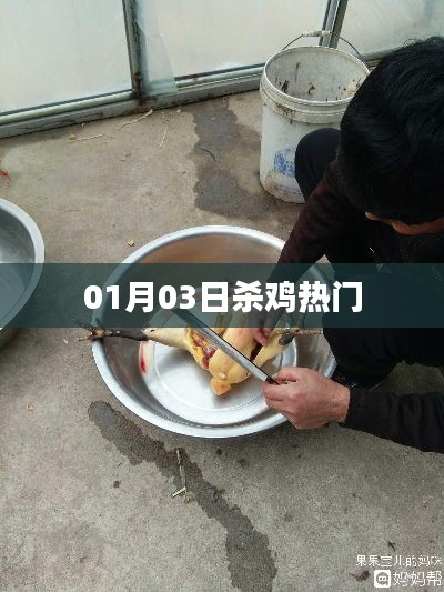 侃侃而谈 第5页