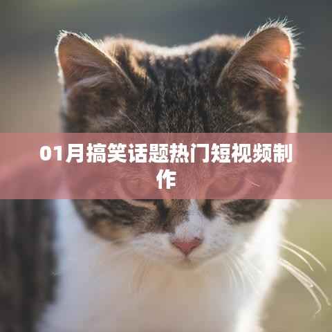 热门搞笑短视频制作,一月笑料大放送