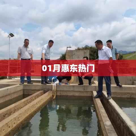 惠东一月热门资讯