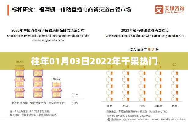 雍容华贵 第5页