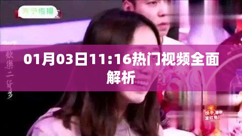 热门视频深度解析,01月03日解析报告