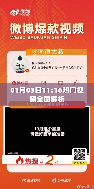 热门视频深度解析,01月03日解析报告