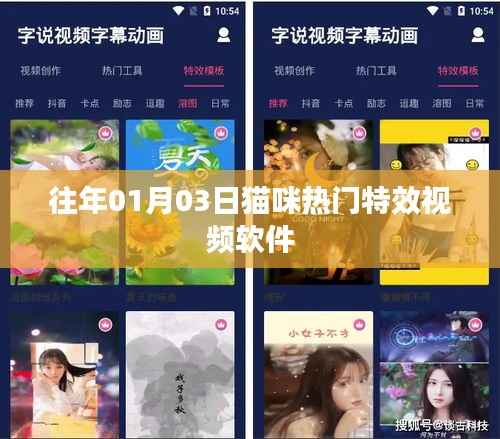 猫咪特效视频软件,热门榜单揭晓!