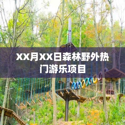 森林野外热门游乐项目揭秘,探险之旅的乐趣体验