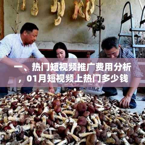 热门短视频推广费用解析,一月份上热门需多少?