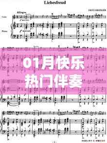 新年热门旋律，一月快乐伴奏推荐