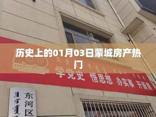 蒙城房产历史热门事件,一月三日回顾