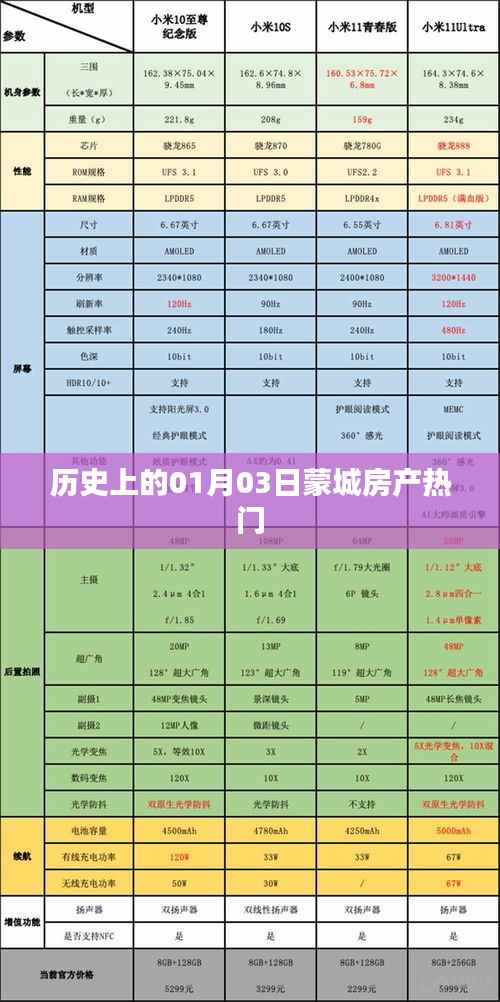 蒙城房产历史热门事件,一月三日回顾