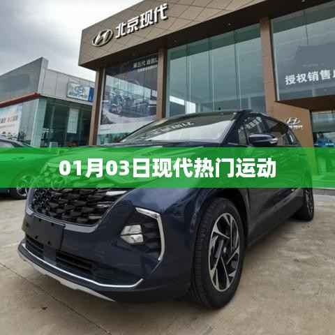 现代热门运动概览,01月03日动态
