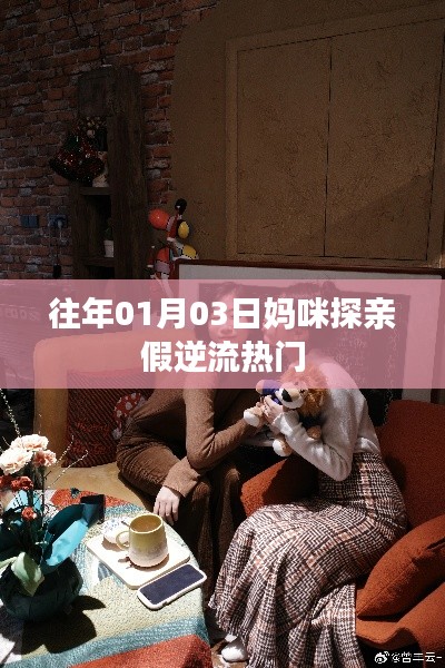 妈咪探亲假成热门话题,逆流行动引关注