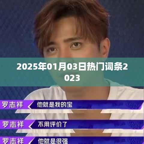 2023年热门词条前瞻，2025年1月趋势解析