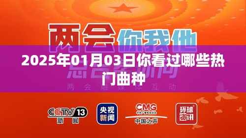 『2025年热门曲种回顾』