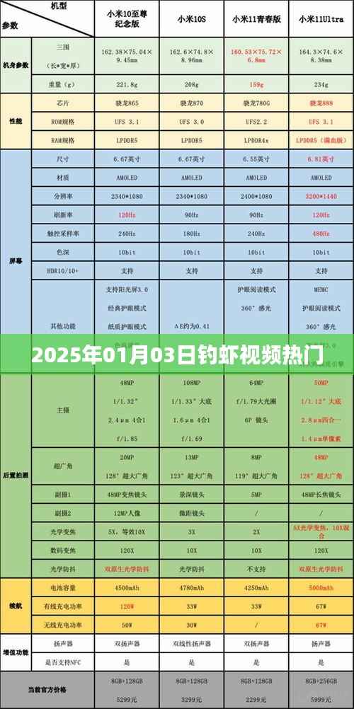 『2025年钓虾热潮来袭,视频教你轻松钓虾技巧』