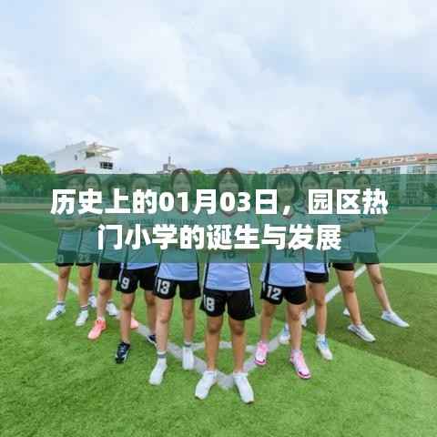 园区热门小学的诞生与成长历程，历史视角下的01月03日回顾