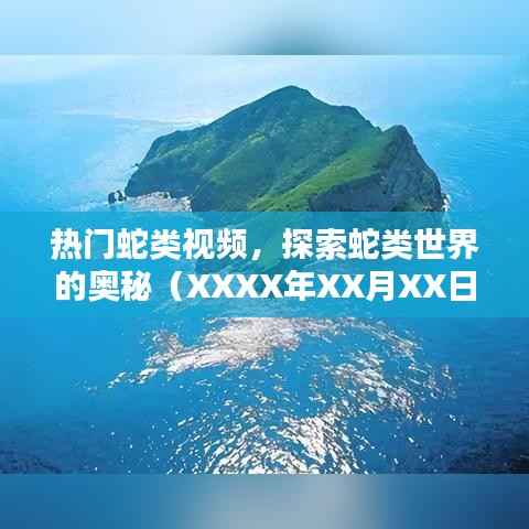 蛇类世界揭秘,热门视频探秘蛇类奥秘