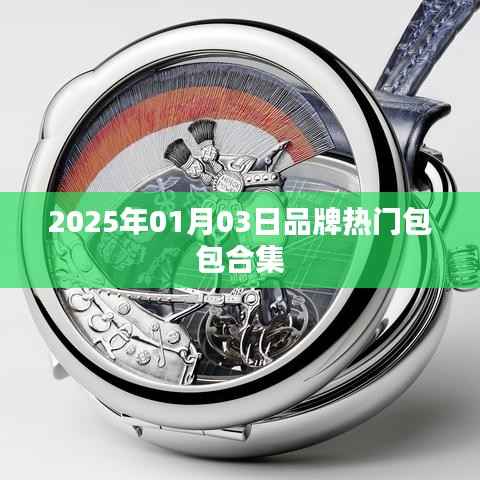 『时尚前沿』2025热门包包大赏