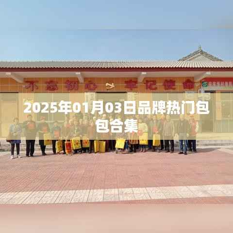 『时尚前沿』2025热门包包大赏