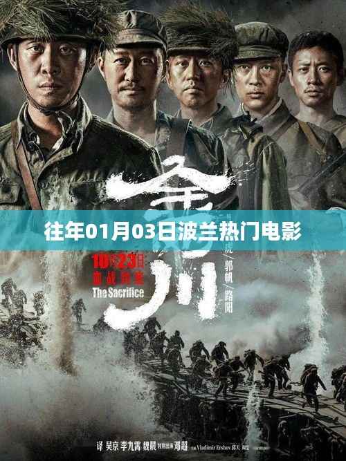 波兰热门电影回顾,历年一月三日必看之选