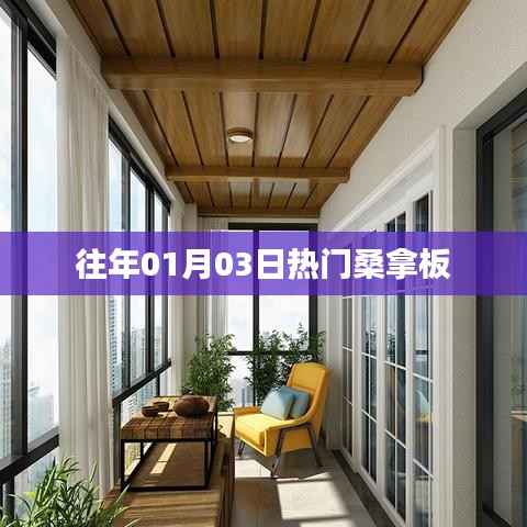 『往年一月初热门桑拿板，时尚之选』