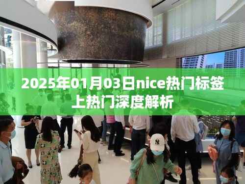 关于Nice热门标签的深度解析,揭秘背后的秘密(日期标注)